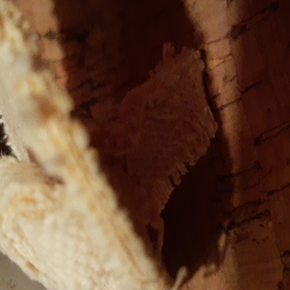 Viking Thong Sandals - Picture 4 of 4